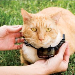 Elektronický plot PetSafe pre mačky a malých psov