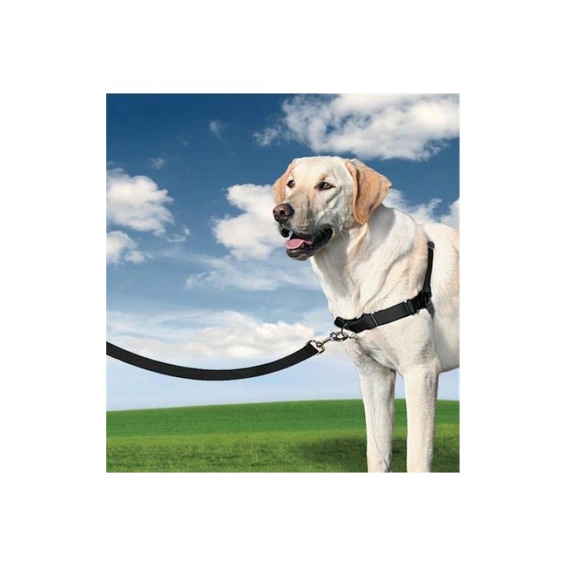 Postroj proti ťahanie Easy Walk Harness