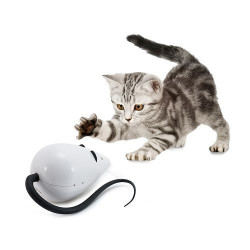 Rotujúca hračka pre mačky PetSafe FroliCat RoloRat