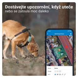 Tractive GPS DOG XL lokátor pre psov - zelený