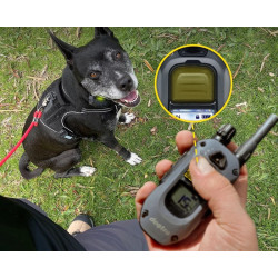 Elektronický výcvikový obojok Dogtra 640X