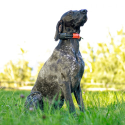 Vyhľadávacie zariadenie pre psov Dogtrace DOG GPS X30 Short