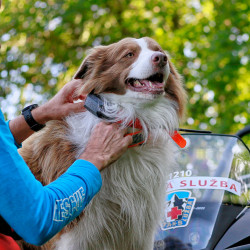 Vyhľadávacie zariadenie pre psov Dogtrace DOG GPS X30 Short