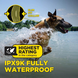 Elektronický výcvikový obojok Dogtra ARC-X